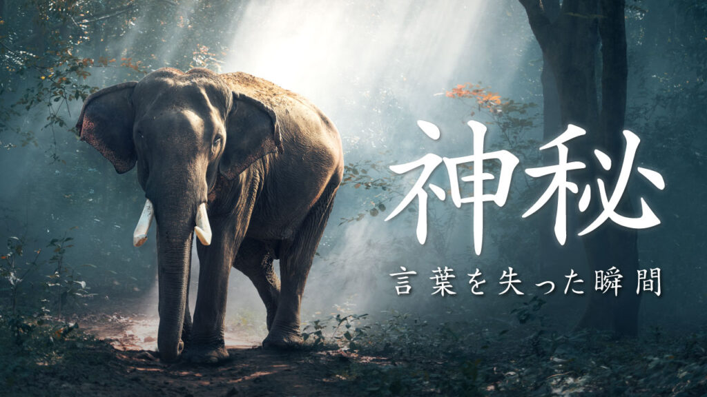 光が差し込む神秘的な森の中を歩く象の写真に、『神秘 言葉を失った瞬間』という文字を重ねた自然・ドキュメンタリー系YouTubeサムネイルの作例。（バイブデザインのおもち制作）