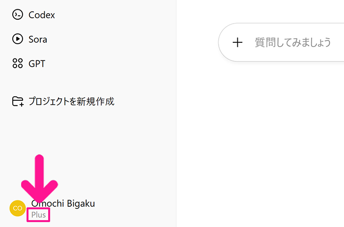 ChatGPT Plusの支払い方法 ステップ13:画面左下にあるアカウント名に『Plus』と表示されていたらOK