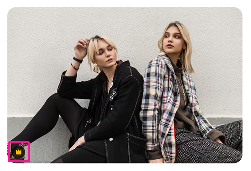 Freepikの使い方 ステップ8:プレミアム(王冠)マークは、有料プランに加入しているユーザーだけがダウンロードできる素材