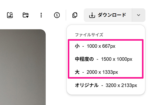 Freepikの使い方 ステップ20:ファイルサイズを指定してダウンロードできる